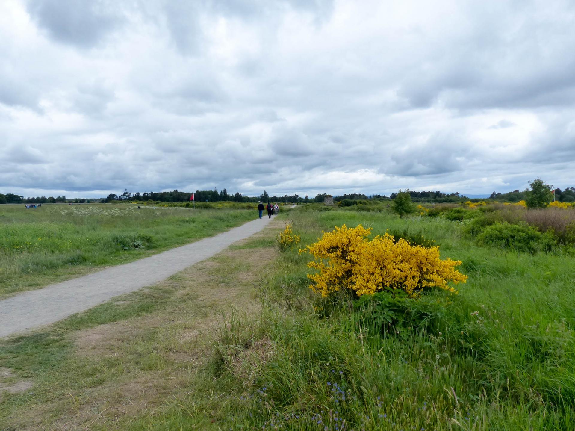 16 Champ de bataille de Culloden
