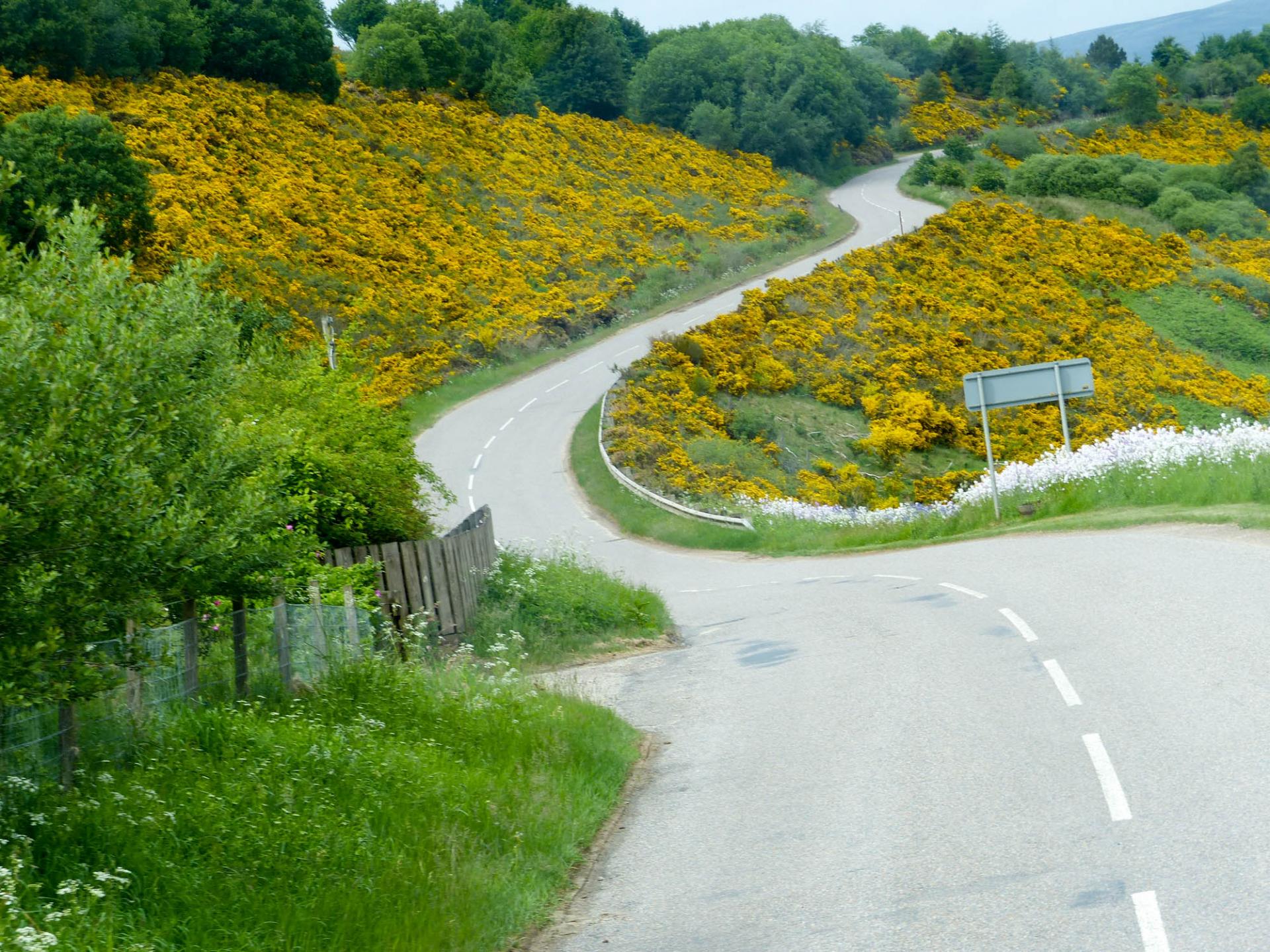 18 La campagne au printemps