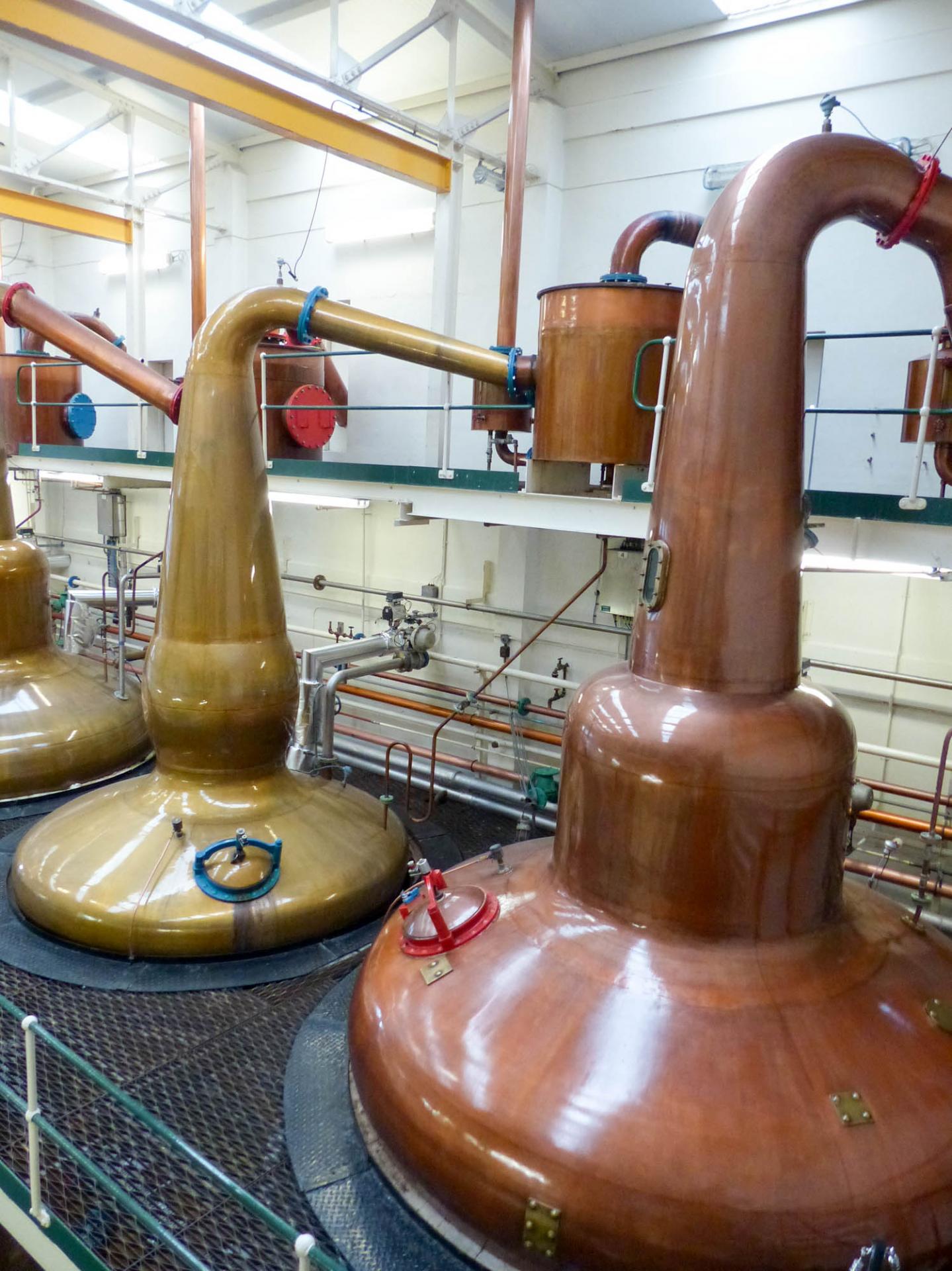 19 La distillerie Grant