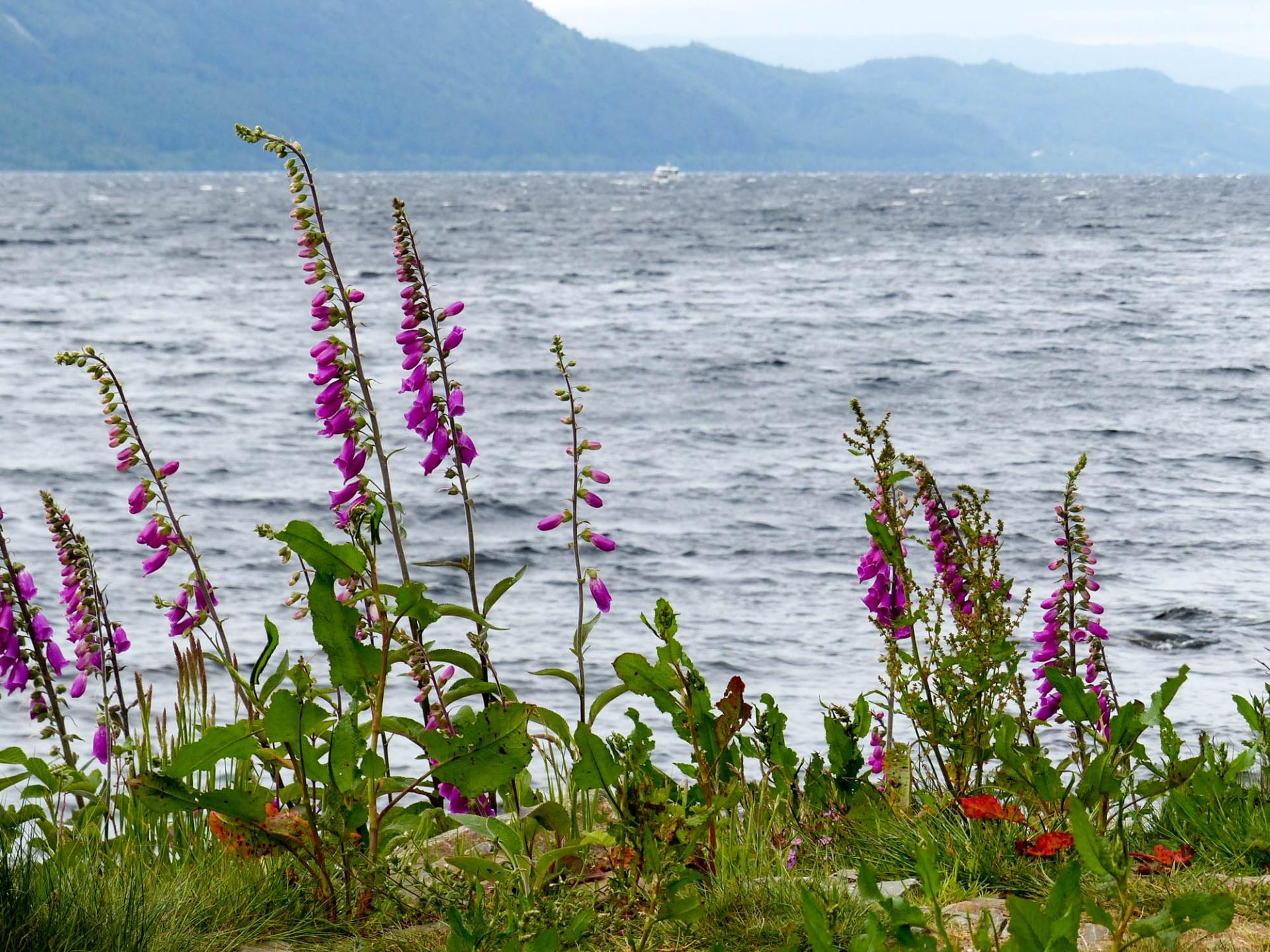 24 Le Loch Ness