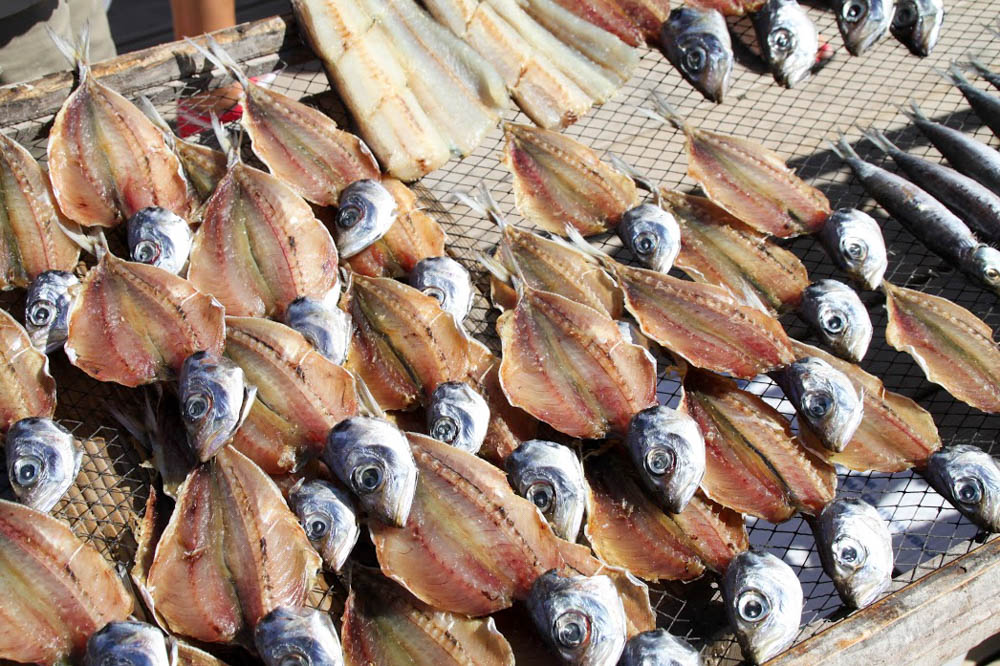 36 NAZARE poisson séché