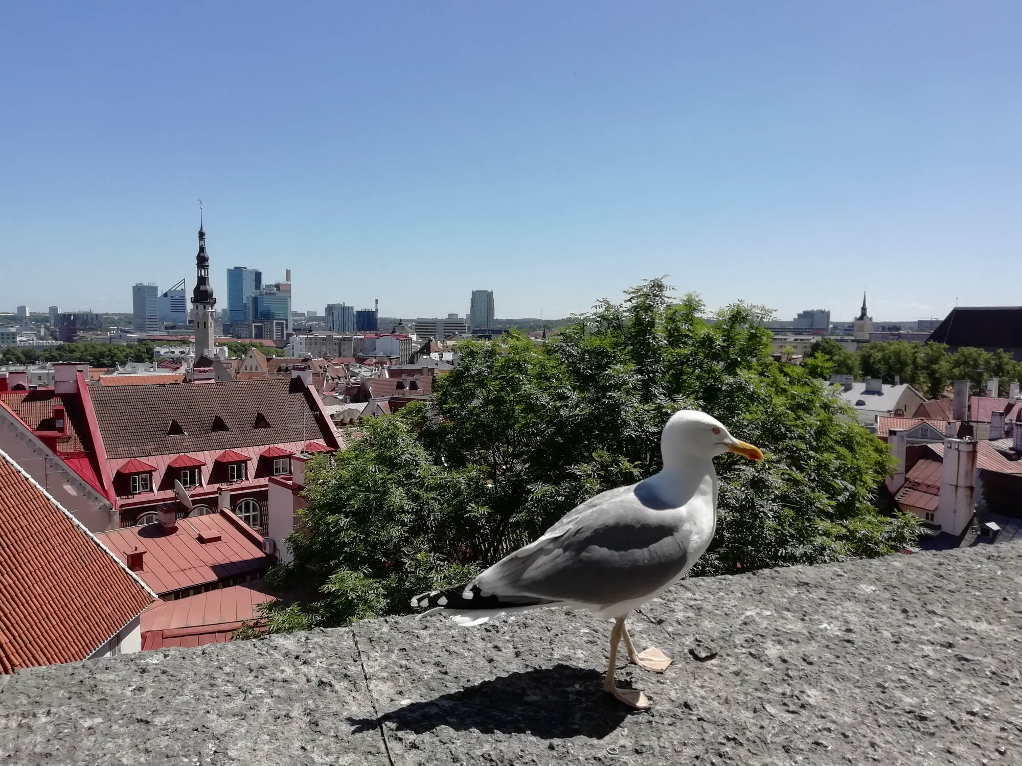 41 vue sur la ville et emplacement extra pour les anniversaires