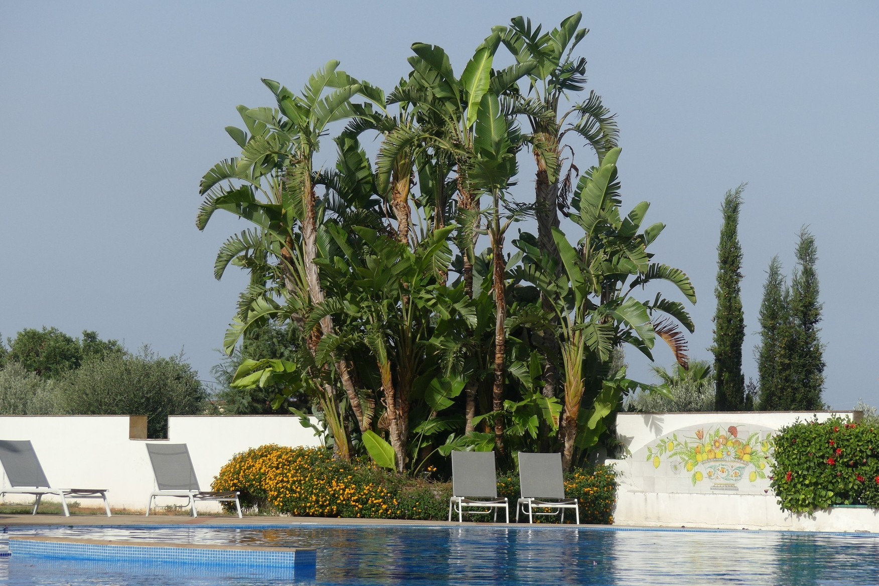 63 retour a palerme 1